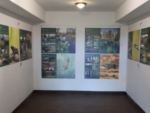 Památku světově uznávaného lékaře, který nečekaně zemřel, uctili přátelé uspořádáním výstavy