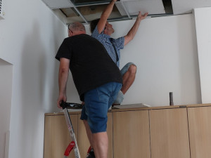 Netopýři neušetřili ani magistrát a obsadili jednu kancelář, výstraha před nimi stále trvá