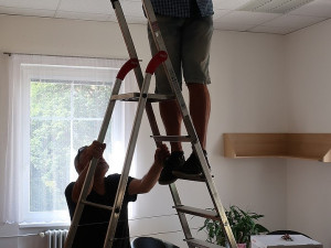 Netopýři neušetřili ani magistrát a obsadili jednu kancelář, výstraha před nimi stále trvá