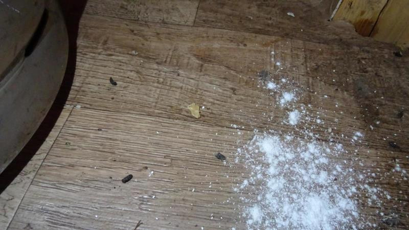 Inspektoři tepali sokolovského majitele zmrzlinového stánku. Byl plný myšího trusu