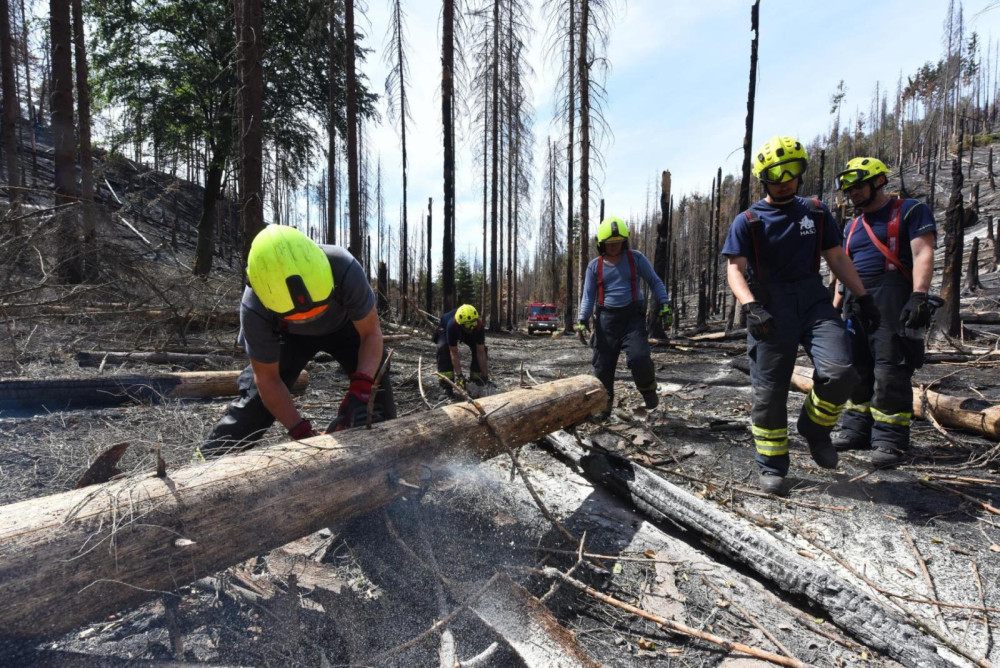 Zásah jednotek u požáru Národního parku České Švýcarsko.