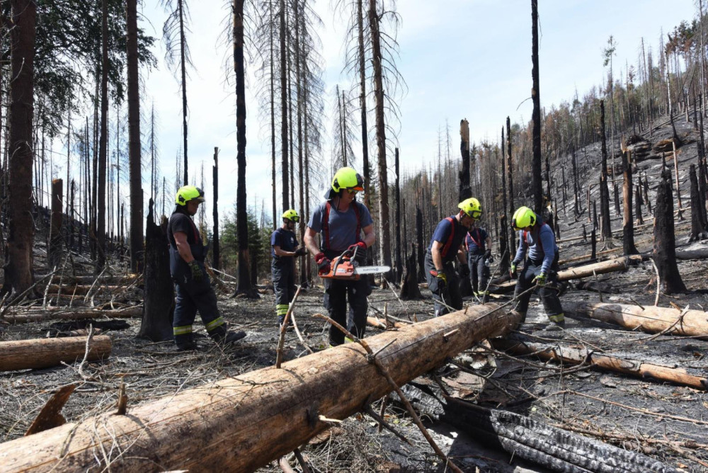 Zásah jednotek u požáru Národního parku České Švýcarsko.