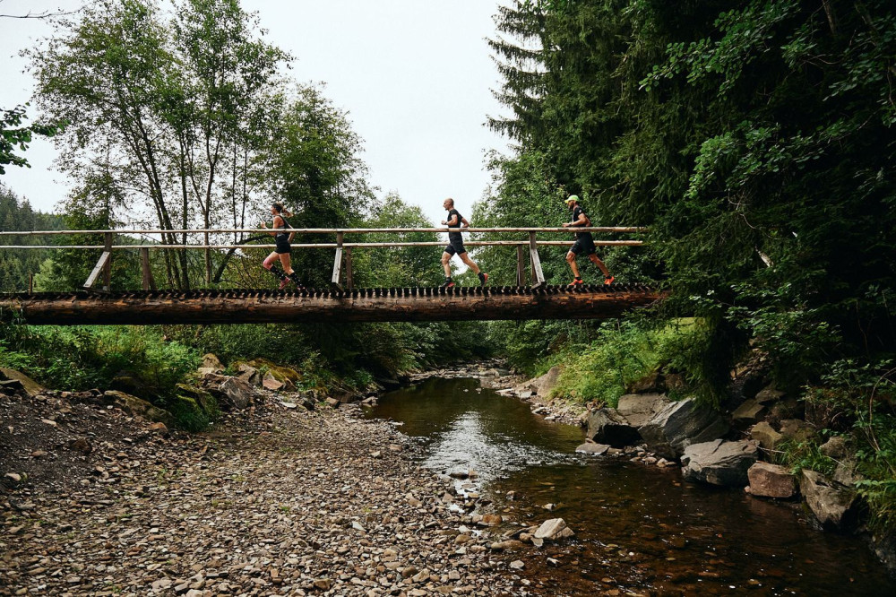 8. ročník Běhej lesy míří do svého závěru. V Beskydech tradičně vyprodal svou kapacitu