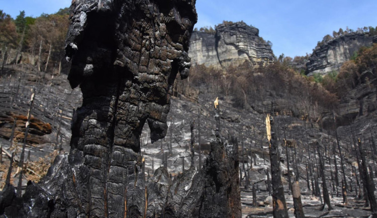 Zásah jednotek u požáru Národního parku České Švýcarsko