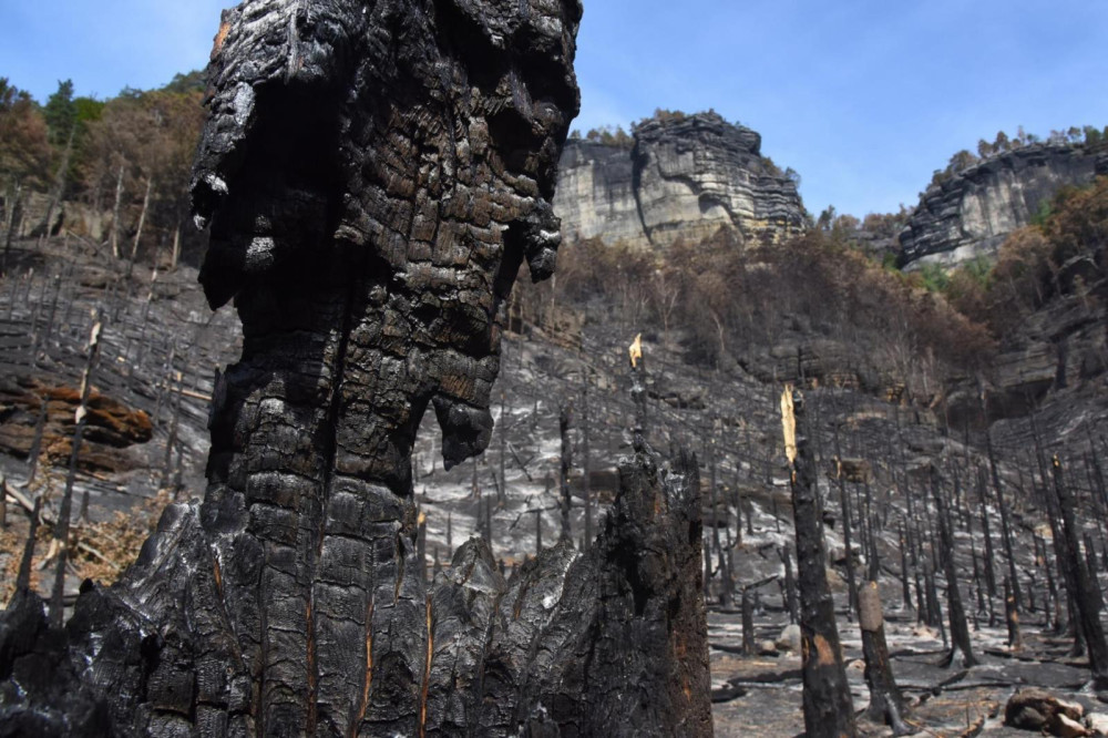 Zásah jednotek u požáru Národního parku České Švýcarsko.