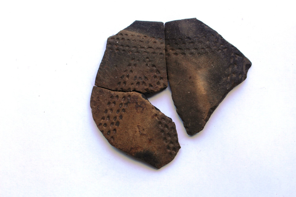 Archeologové na Brněnsku zkoumají tisíce let staré sídliště rolníků