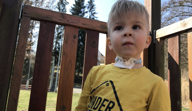 Už když se František narodil, měl žlučové kameny. Potýká se však i s řadou vážnějších zdravotních komplikací.