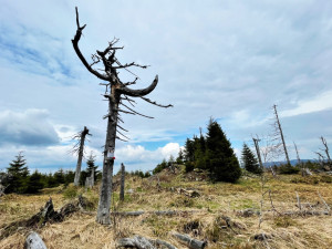 Pouze 100 turistů může jediný den vyjít z české strany k ruinám Juránkovy chaty na vrcholu šumavského Svarohu