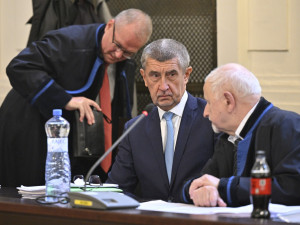 Expremiér Babiš je u soudu, který projednává kauzu Čapí hnízdo. V životě jsem nic neukradl, brání se