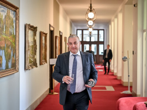 Vláda určila maximální ceny pro elektřinu a plyn