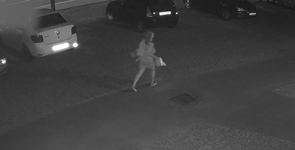 VIDEO: Kvůli požáru auta v obci Daskabát kriminalisté pátrají po neznámé ženě