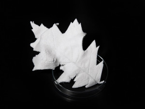 Vědci z liberecké univerzity vytvořili skleněnou porézní plastelínu. Využití najde nejen v designu interiéru