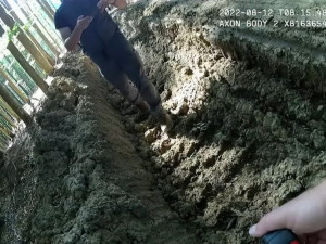 Nejhorší devastace lesů za poslední roky, kritizují spolky hospodaření v šumavském národním parku