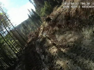 Nejhorší devastace lesů za poslední roky, kritizují spolky hospodaření v šumavském národním parku