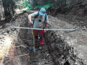Nejhorší devastace lesů za poslední roky, kritizují spolky hospodaření v šumavském národním parku