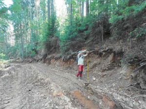 Nejhorší devastace lesů za poslední roky, kritizují spolky hospodaření v šumavském národním parku