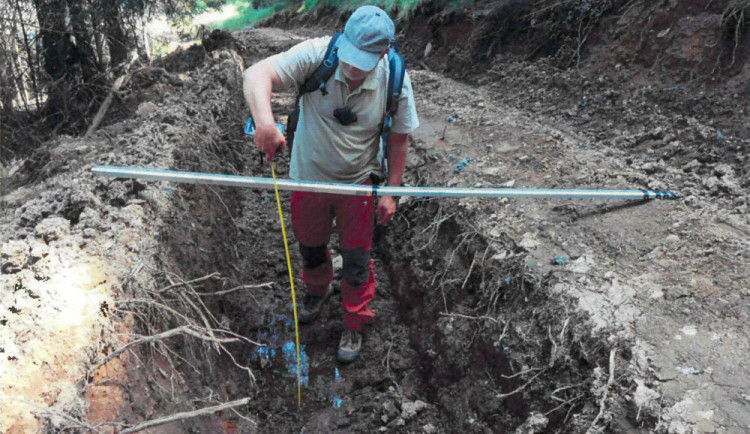 Nejhorší devastace lesů za poslední roky, kritizují spolky hospodaření v šumavském národním parku.