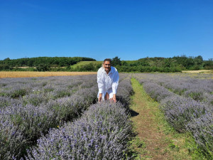 České Provence. Blahodárné účinky levandulí poznávají tisíce návštěvníků areálu kousek za Prahou