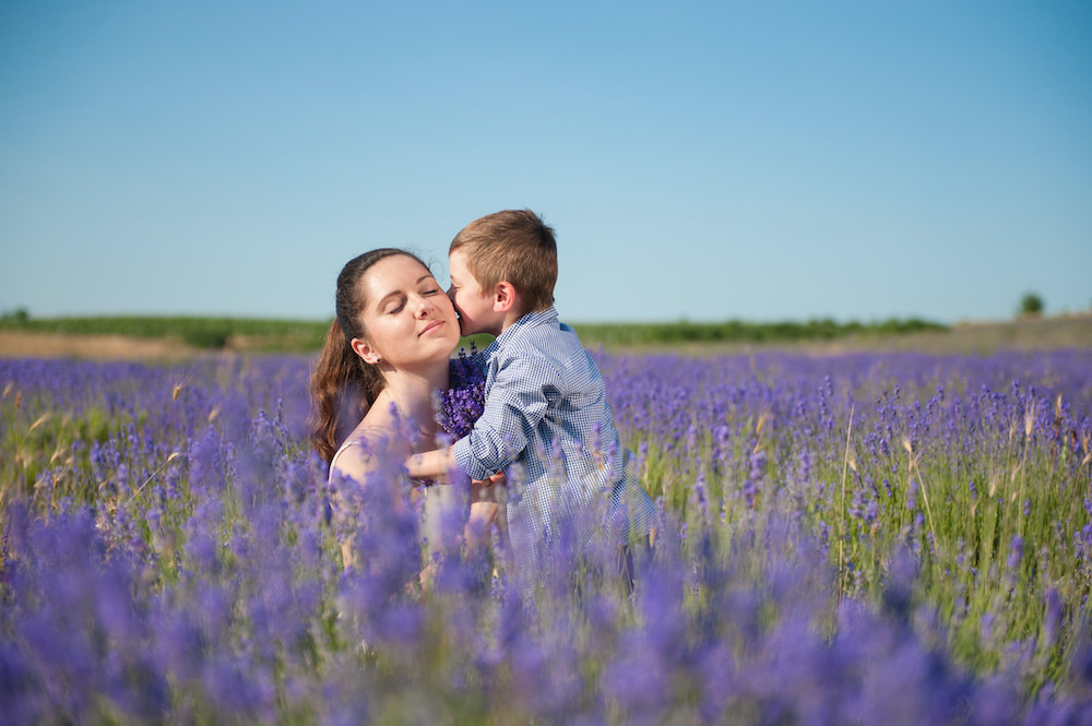 České Provence. Blahodárné účinky levandulí poznávají tisíce návštěvníků areálu kousek za Prahou