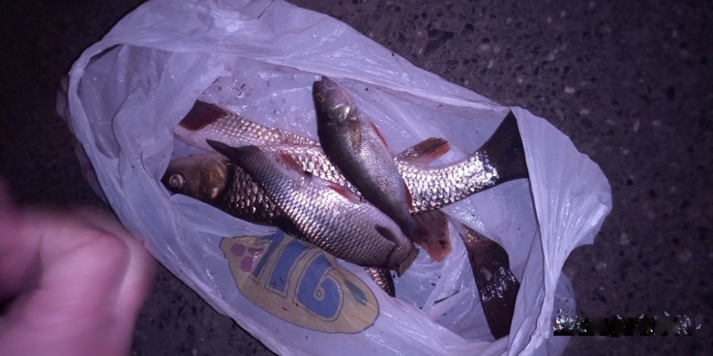 Noční rybaření v centru Karlových Varů ukončil až příjezd hlídky městské policie