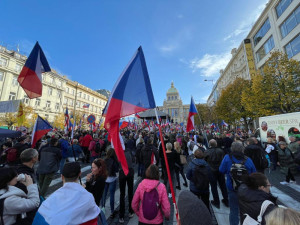VIDEO: Na Václavském náměstí protestovaly tisíce lidí. Chtěly demisi vlády