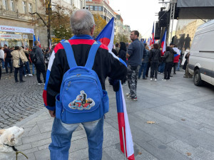 Na Václavském náměstí protestovaly tisíce lidí. Chtěly demisi vlády.