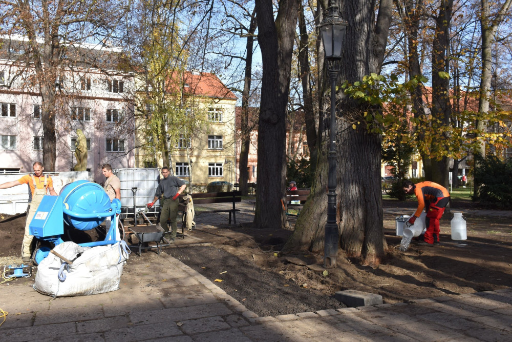 Unikátní jilm, který stojí v Písku, se dočkal speciálního ošetření