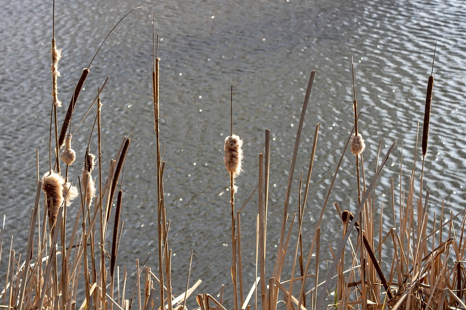 Klatovské rybářství opraví kvůli bezpečnosti obyvatel další dva velké rybníky