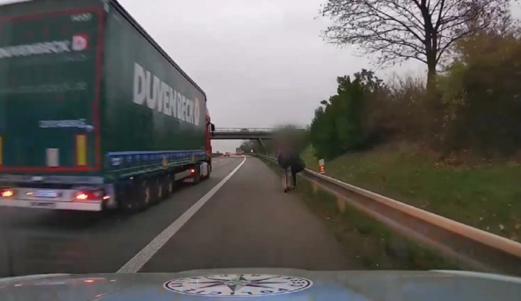 Cizinci si vyšli do Brna po dálnici D1