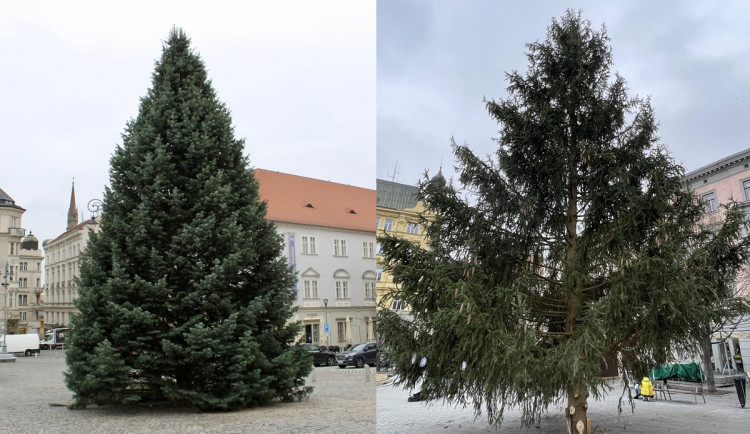 ANKETA: Souboj vánočních stromů v Brně. Vyhrává u lidí Zelný trh, nebo Svoboďák?