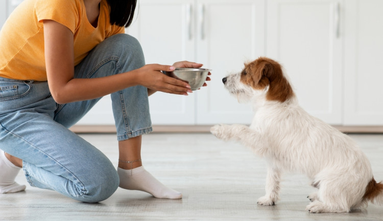 Copyright (c) 2021 Prostock-studio/Shutterstock.  No use without permission.