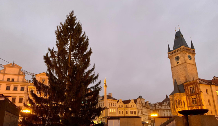 VIDEO: Na Staroměstském náměstí v Praze už stojí vánoční strom