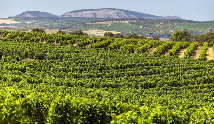 Copyright (c) 2022 Daniel Prudek/Shutterstock.  No use without permission.