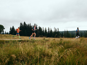 Běhej lesy spouští registrace na rok 2023 a přichází s týmovým štafetovým závodem 2022