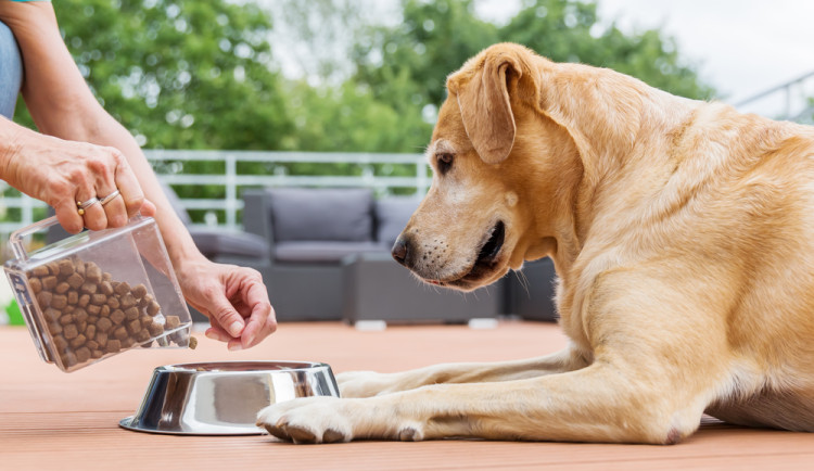 Copyright (c) 2017 Christian Mueller/Shutterstock.  No use without permission.