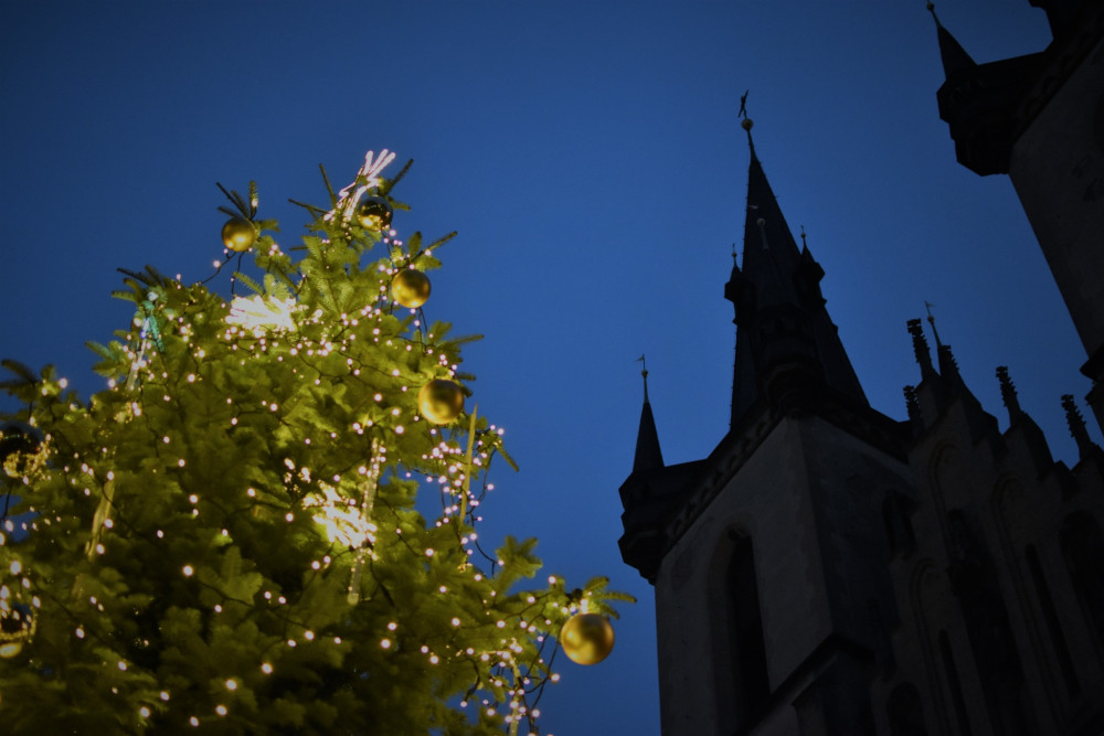 Strom na Strossmayerově náměstí.