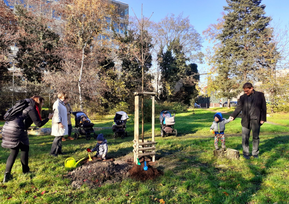 Praha 10 vysadila stromy za narozené děti. Dřeviny mohou nést jejich jména