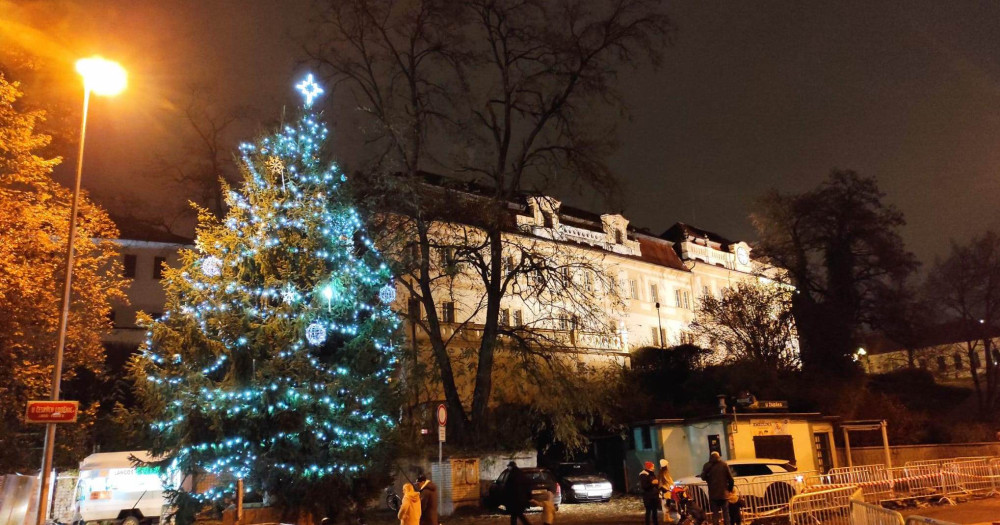Strom na Elsnicově náměstí.