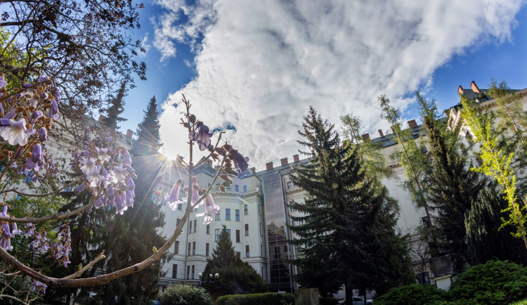 Na Mendelově univerzitě se porušovaly školní předpisy i zákon