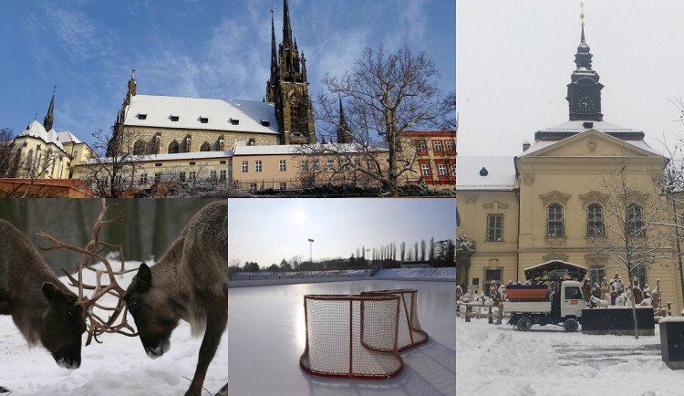 Kam o Vánocích v Brně? Na krmení tygrů i za divadlem