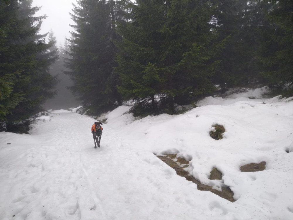 Pohřešovanou matku se synem z Prahy stále nenašli, na pomoc přiletěl vrtulník