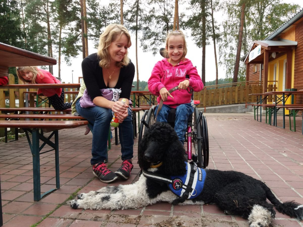 Asistenční pes se lekl petardy a utekl do lesů na Jindřichohradecku