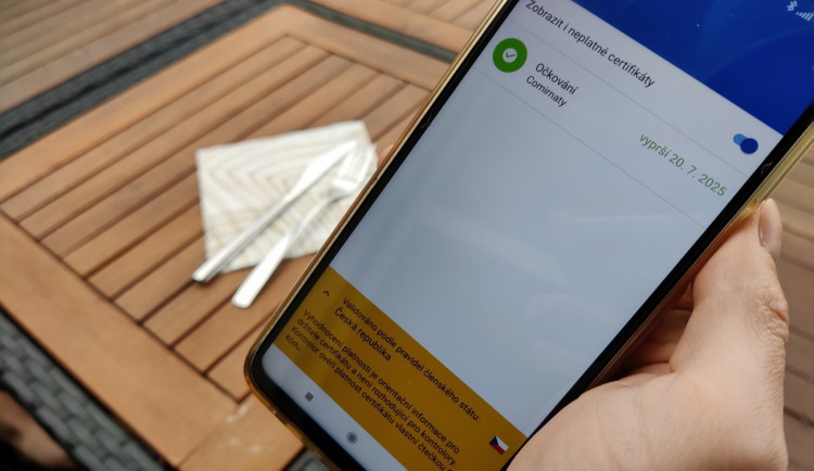 size4-16408646003676-139-size4-16367929892579-103-za-padelani-covid-certifikatu-mohou-hrozit-az-tri-roky-vezeni