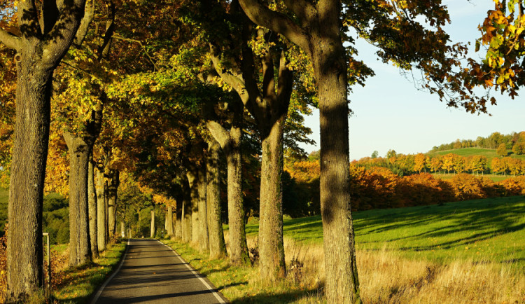 Podpořte v soutěži aleje z Libereckého kraje, hlasování končí za dva dny