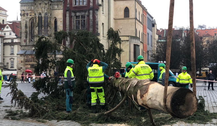 VIDEO: Pražský vánoční strom šel k zemi. Budou z něj stoly a lavice pro děti