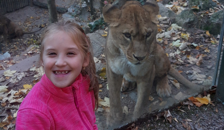 O jejím nelehkém životě rozhodla matka alkoholička, dívky se ujala pěstounka. Podpořit je může každý