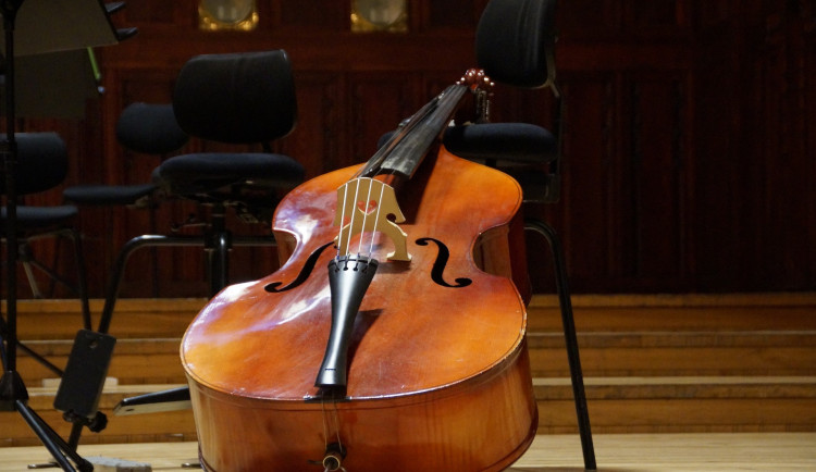 Šaldovo divadlo sbírá příspěvky na nový mistrovský hudební nástroj