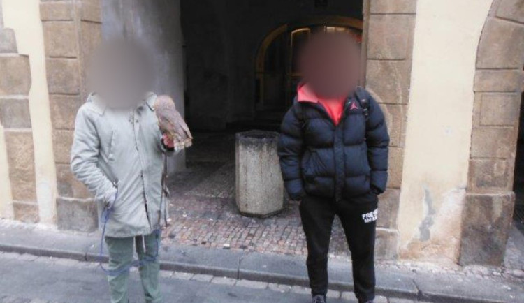 Strážníci zachránili sovy pálené před týráním. Podvodníci vybírají peníze za fotky se zvířaty