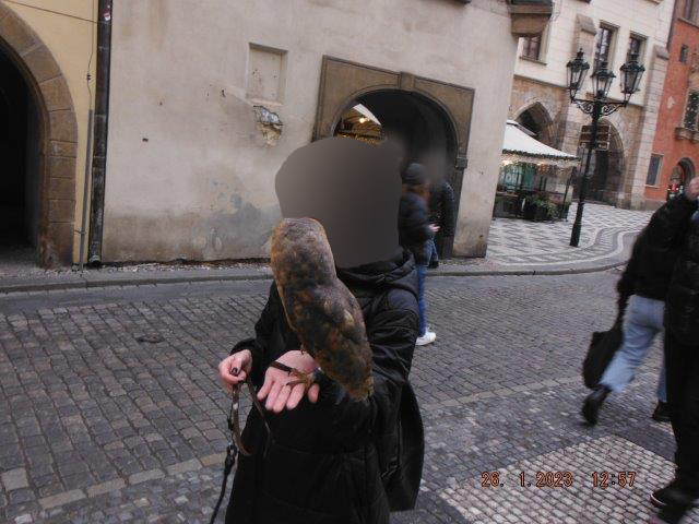 Strážníci zachránili sovy pálené před týráním. Podvodníci vybírají peníze za fotky se zvířaty