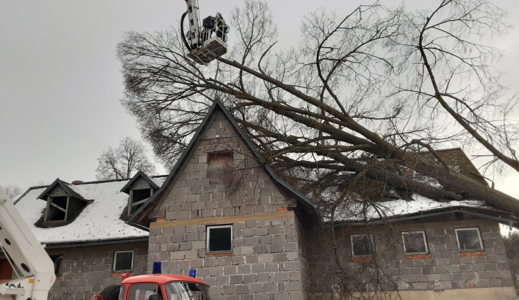 Následky vichřice jsou velké, strom fatálně zranil koně v liberecké zoo. Silný vítr ustává